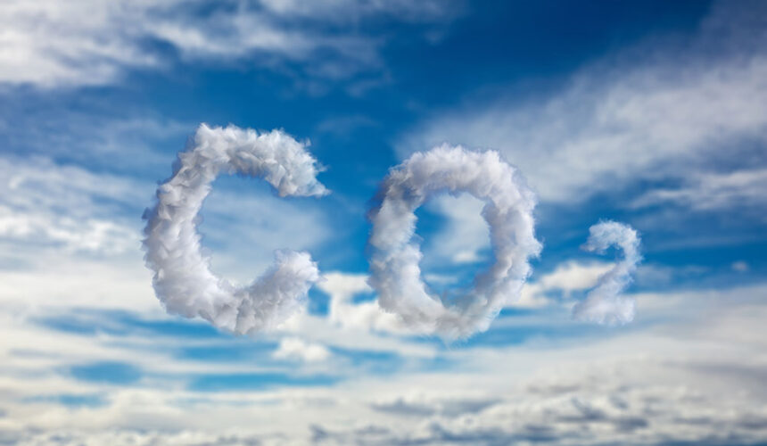 Abbattiamo ogni anno 1 tonnellata di CO2