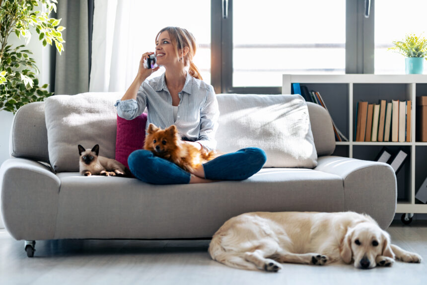 Ozonoterapia: cos’è e come può aiutare il tuo animale