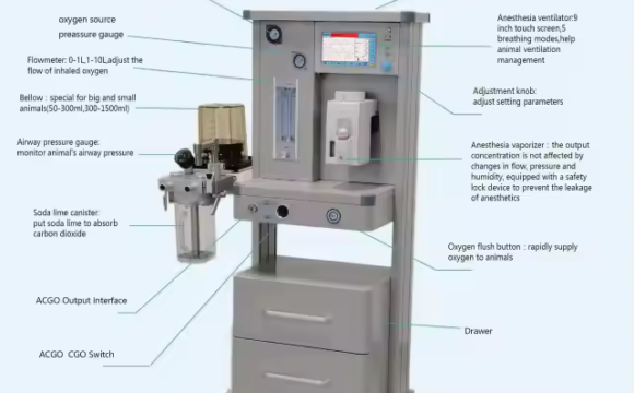 Veterinary Anesthesia Work Station SV-5600: Innovazione nel Campo della Chirurgia Veterinaria