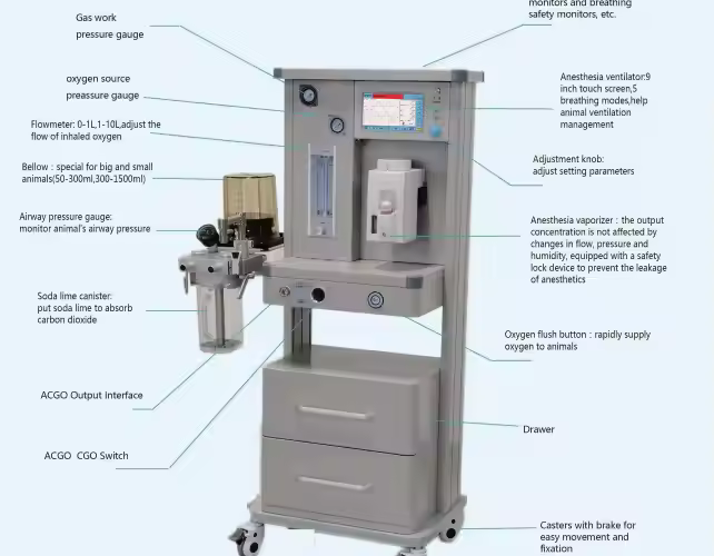 Veterinary Anesthesia Work Station SV-5600: Innovazione nel Campo della Chirurgia Veterinaria