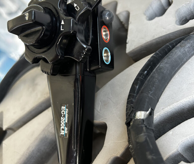 IMG_3155 scaled 1 780x658