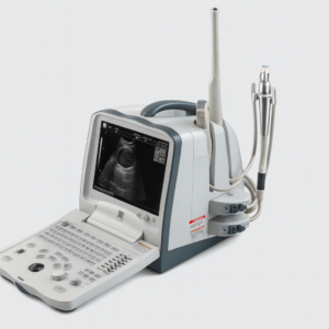 Mindray DP-6600 ecografia diagnostica digitale portatile con sonda 35C50EA + 65EC10EA