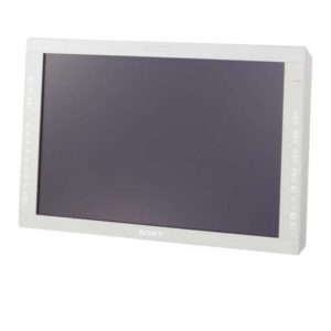 Monitor Sony LMD-2450MD