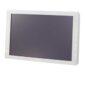 Monitor Sony LMD-2450MD